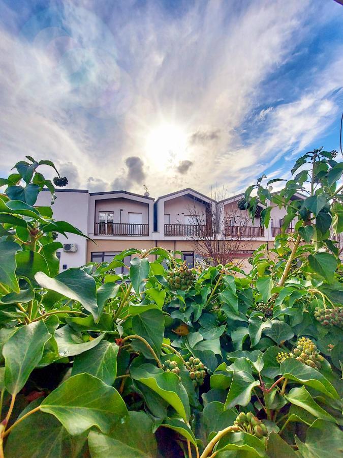 La Ginestra C&B House Apartment Castel Di Sangro Bagian luar foto